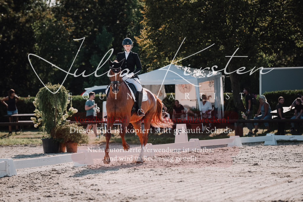 DSC_0444 | Pferde- und Turnierfotografie in Westsachsen. Pferdeportraits, Auftragszeichnungen und intuitive Kunst.