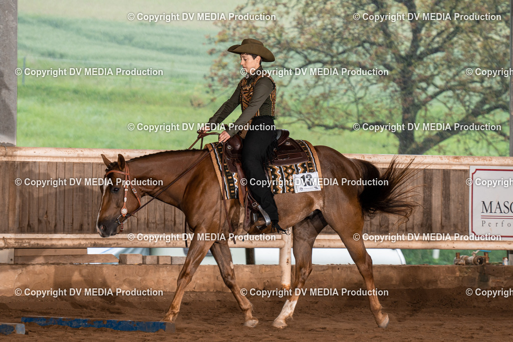 Erbach Tag 3-356 | dv-media-shop - Realisiert mit Pictrs.com