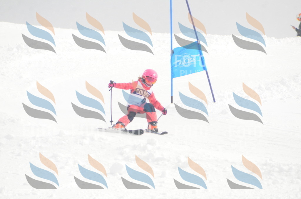 A5010 | holidayphoto