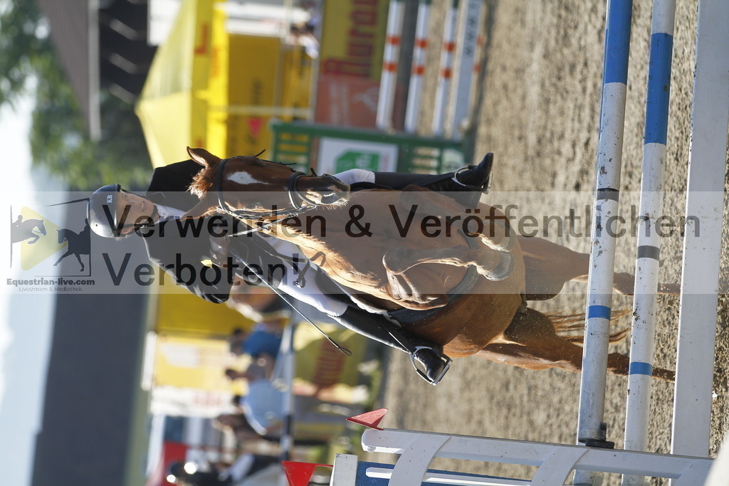 _MG_4260 | equestrian-live-com