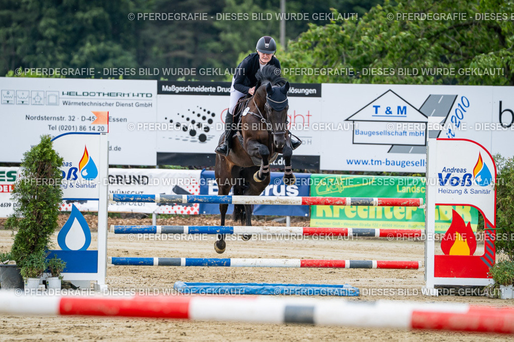 DSC04699 | Pferdegrafie