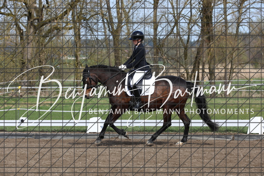 AZ2A4492 | Benjamin Bartmann Photomoments