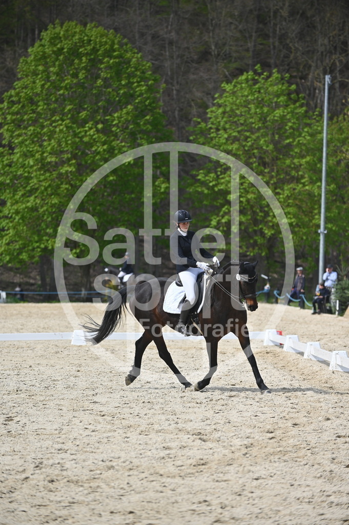 DSC_4270 | sattelsport - Realisiert mit Pictrs.com