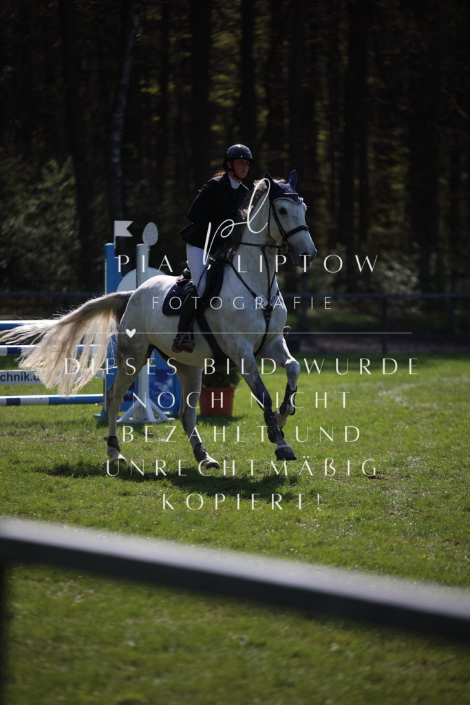 IMGT5822 | pl-fotografie