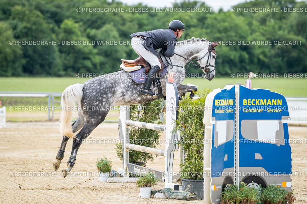 DSC04833 | Pferdegrafie