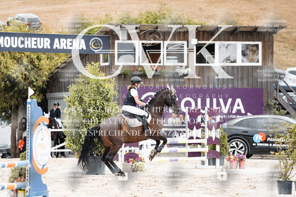 CK908566 | Turnierfotografie Pferdefotografie Trier Rheinland-Pfalz Pferdesport Reitsport Tierfotografie Sportfotografie Pferdevideo Pferdevideografie Equestrianvideography equestrianphotography  - Realisiert mit Pictrs.com