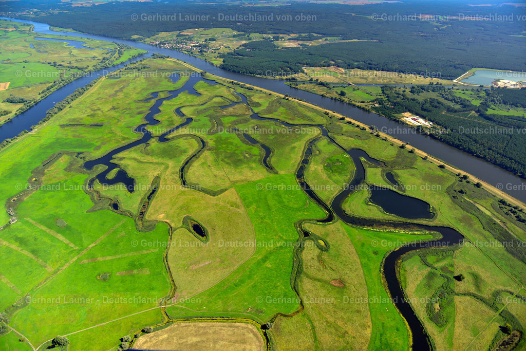 3637511 | Nationalpark Unteres Odertal  bei  SCHWEDT/ODER 25.08.2016 Grasflächen- Strukturen einer Wiesen- und Feld Landschaft in der Auen- Niederung am Ufer des Flußverlaufes der Oder in Schwedt/Oder in der Uckermark im Bundesland Brandenburg, Deutschland // Grassland structures of a meadow and field landscape in the lowland on the banks of the river Oder in Schwedt/Oder in the Uckermark in the state Brandenburg, Germany Foto: Gerhard Launer