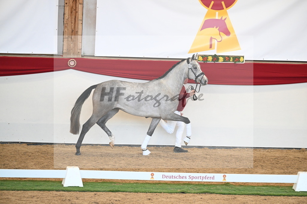 Kat.-Nr. 72 v. Johnson_Lehner_2250610 | hf-fotografie - Realisiert mit Pictrs.com