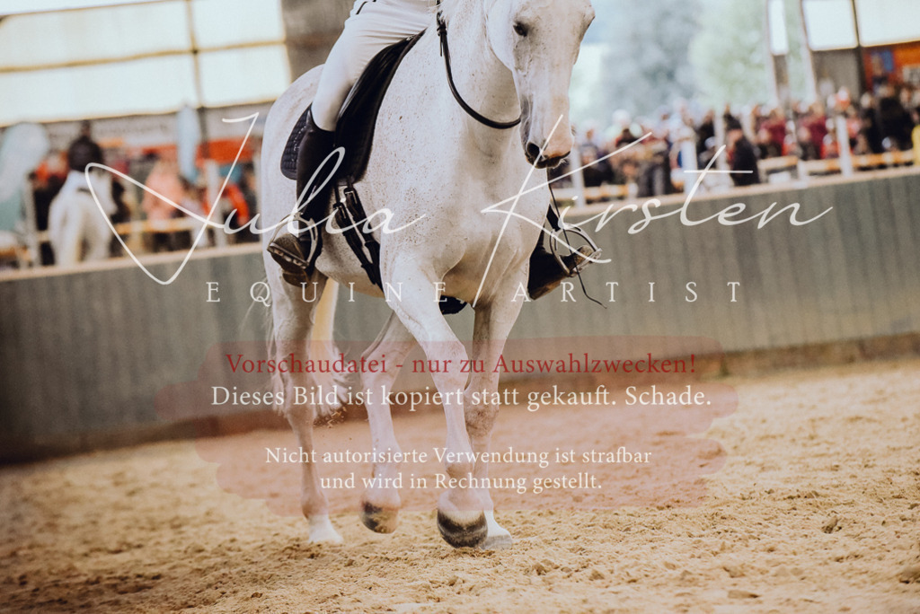 DSC_6971 | Pferde- und Turnierfotografie in Westsachsen. Pferdeportraits, Auftragszeichnungen und intuitive Kunst.