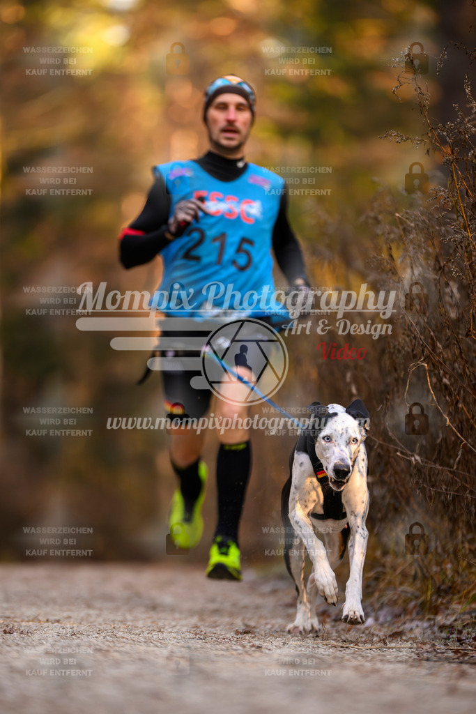 MompixPhotography_DM_AKDM_SO_2025_-20 | PayLife