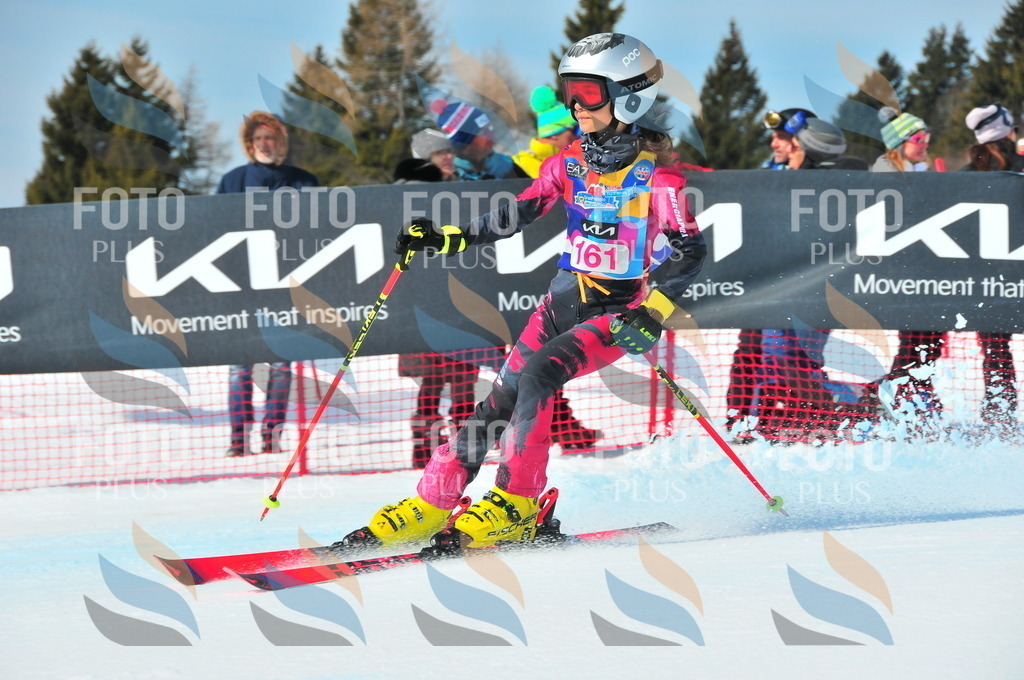 DSC_5176 | holidayphoto