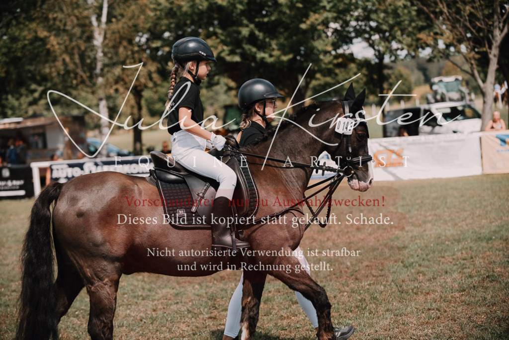DSC_6099 | Pferde- und Turnierfotografie in Westsachsen. Pferdeportraits, Auftragszeichnungen und intuitive Kunst.