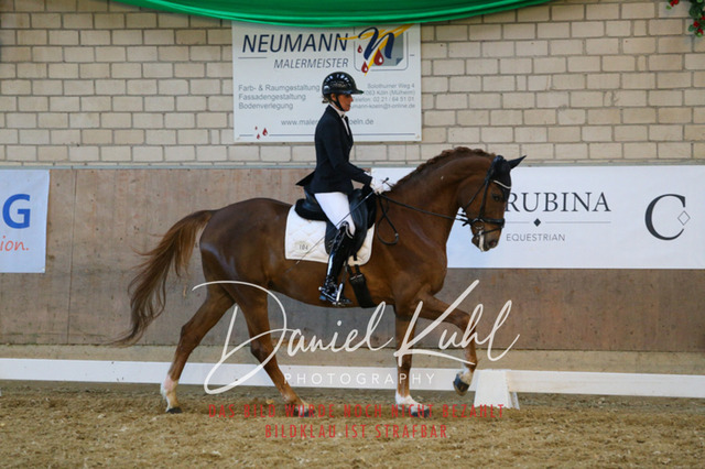 IMG_2945 | Turnierfotos kaufen im Webshop von Daniel Kuhl Photography – entdecke professionelle Reitsportfotos aus Turnieren & Events. Hochwertige Turnierbilder online bestellen & sichern. Jetzt Fotos von Reitsportturnieren kaufen!