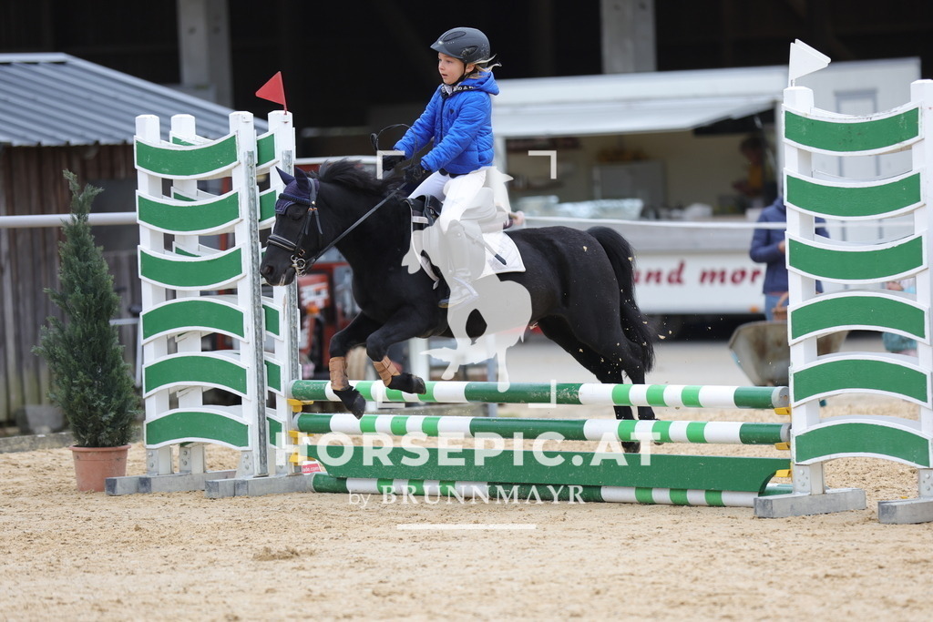 0P6A2957 | Willkommen bei Brunnmayr - Design & Fotografie – Ihrem Spezialisten für Reitturniere und Pferdeveranstaltungen in Oberösterreich, Salzburg und Bayern! Seit über 17 Jahren sind wir leidenschaftlich dabei.