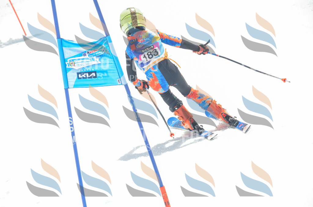 _ELE6712 | holidayphoto