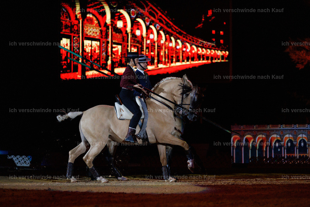 FHClassics-167 | working equitationturnier fotograf videograf stoibphotography marixx film working equitation deutschland reitsport turnierfotografie eventfotografie equestrian events