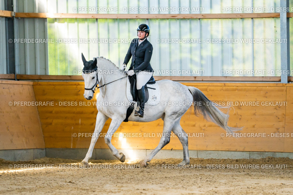 DSC06244 | Pferdegrafie