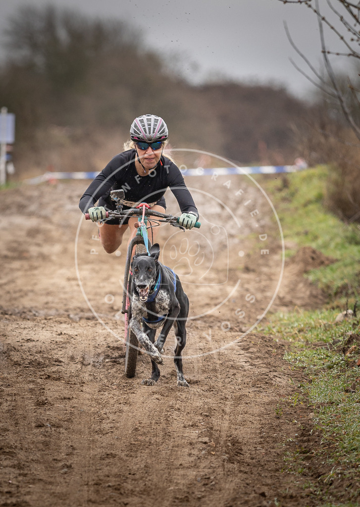 DV3A9554 | Hundefotografie, Tierfotograf, Pfotenfotografie, Fotoshooting Hund, Hunde Portrait, Hundesport, Hundeportraits, Heideshooting, Hunde, Sportfotograf, Hundefotograf, Turnierhundsport, THS,  - Realisiert mit Pictrs.com