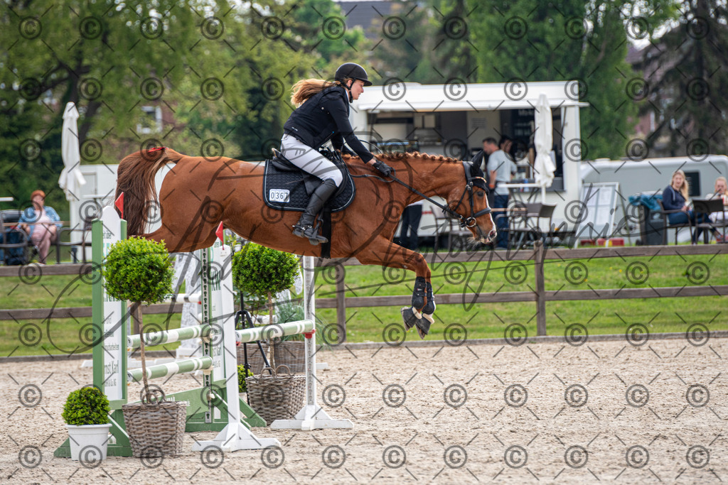 KPT_2079 | andre_photographic