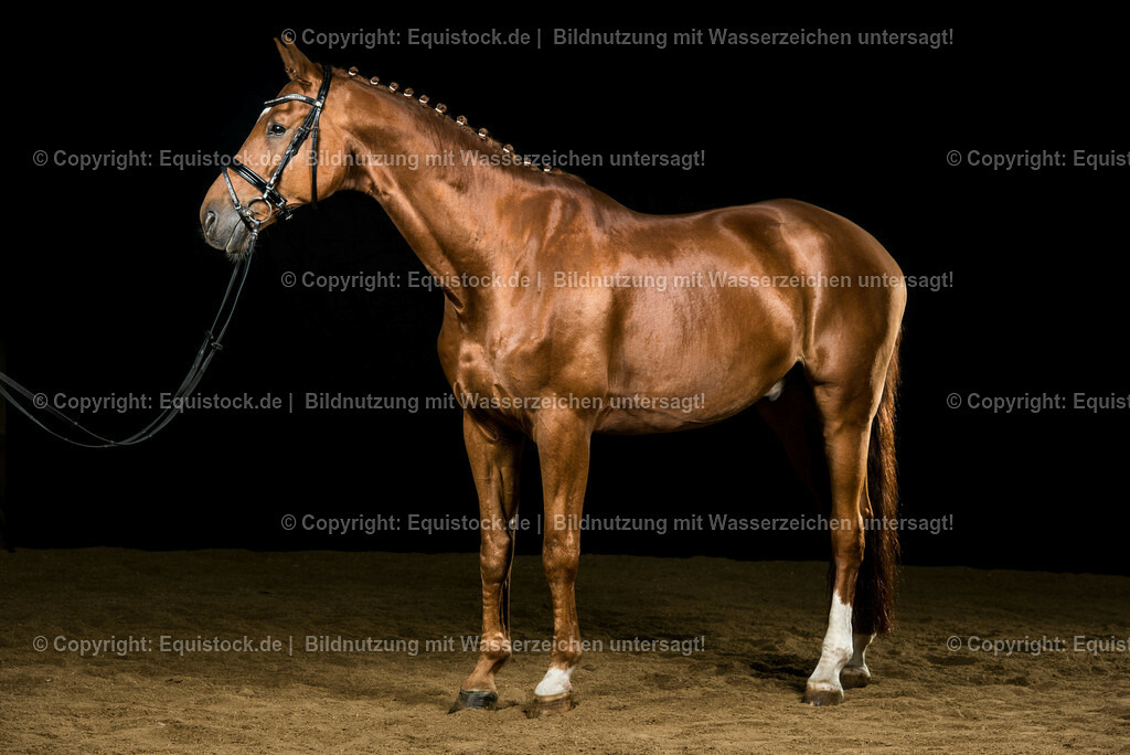 20140928_TOMsPiC_TOMsPiC_0001 | equistock