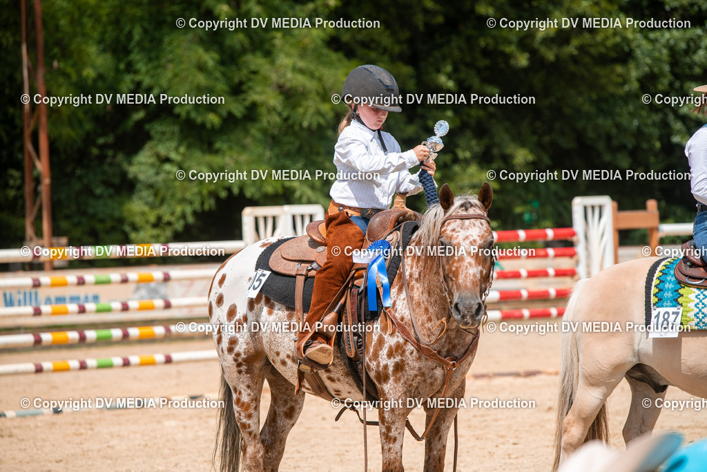 ZS2_8229 | dv-media-shop - Realisiert mit Pictrs.com