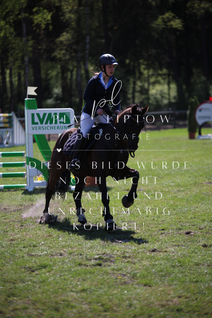 IMGT8188 | pl-fotografie