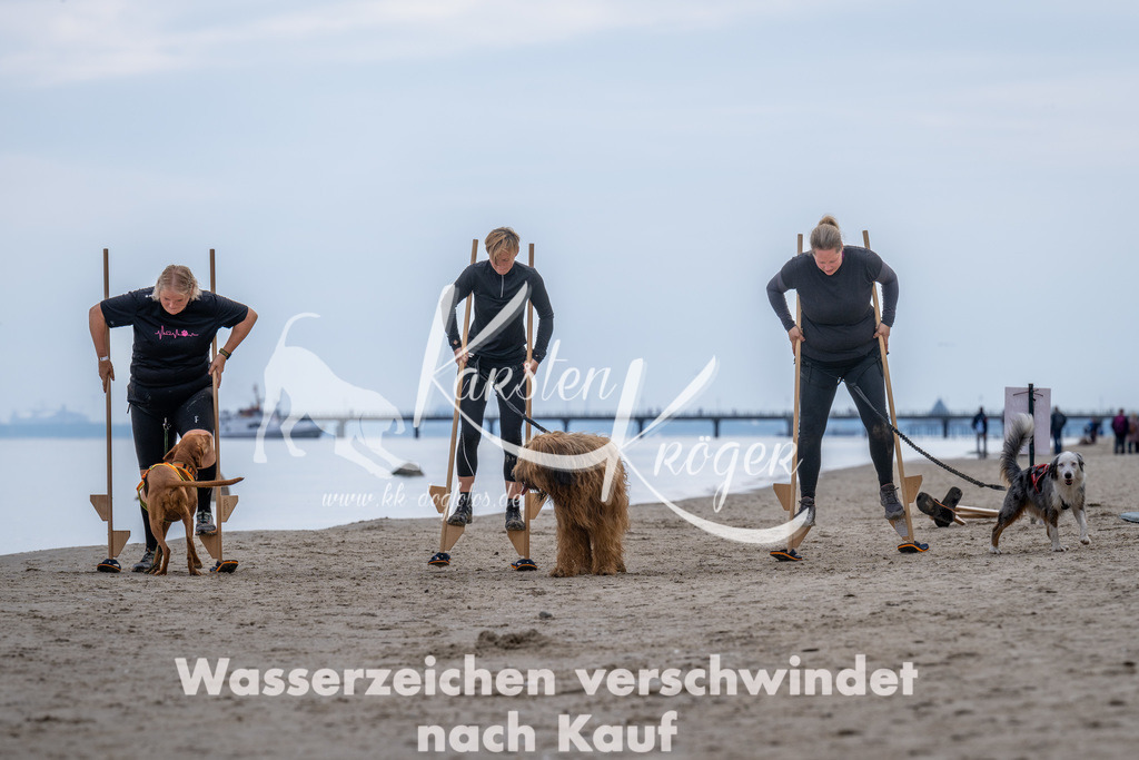 1221_ZZ91118 | kk-dogfotos