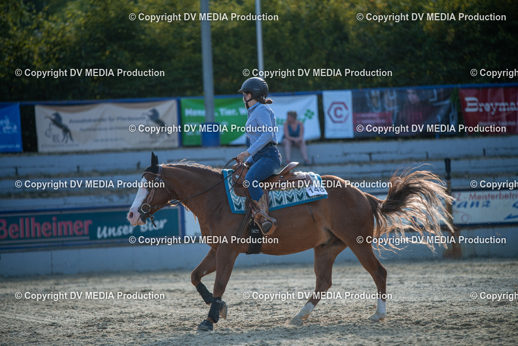 EWP_7120 | dv-media-shop - Realisiert mit Pictrs.com