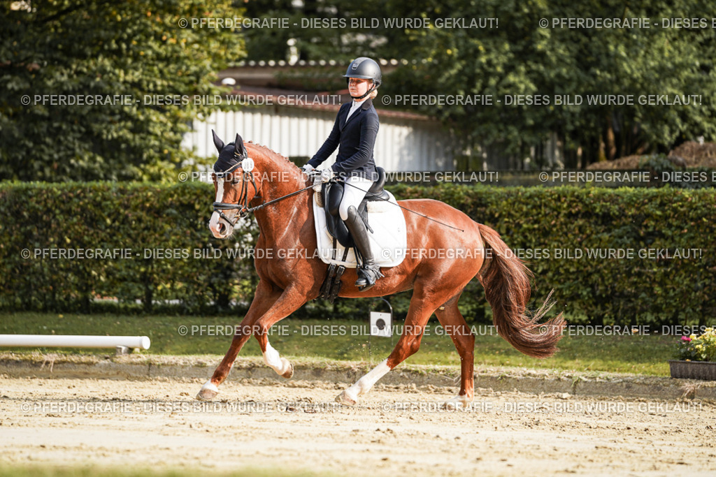 DSC05985 | Pferdegrafie