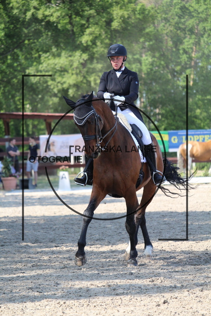 IMG_5623 | franziskalange - Realisiert mit Pictrs.com