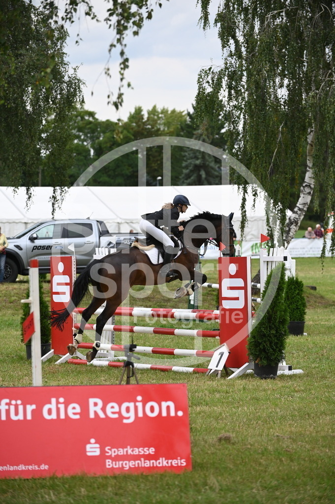 DSC_2279 | sattelsport - Realisiert mit Pictrs.com