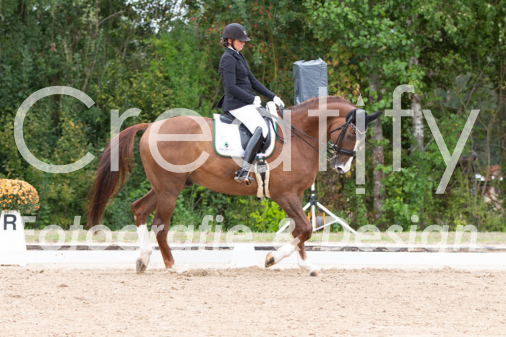 IMG_7220 | Creatify Fotografie