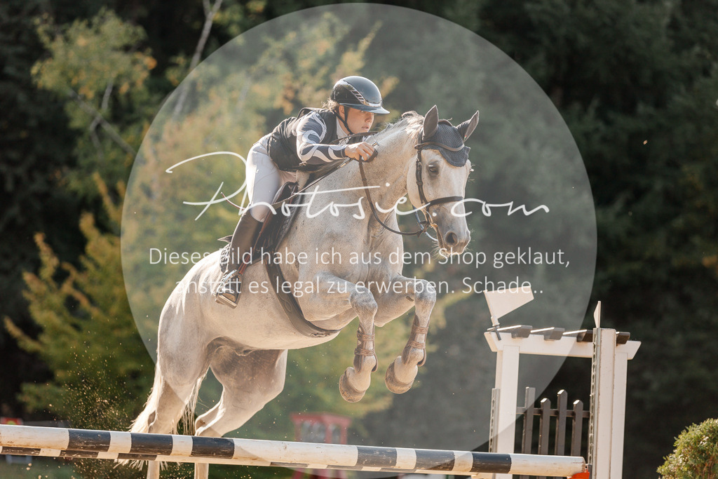 3I6A5116 | Stimmungsvolle Portraits und Reitsportfotografie im Ruhrgebiet und im Münsterland.

Pferdefotografie, Hundefotografie, Tierfotografie, Reportagen, Portraits von Tier und Mensch, Turnierfotografie in Bochum, Recklinghausen, Marl, Haltern am See, Dülmen.. - Realisiert mit Pictrs.com