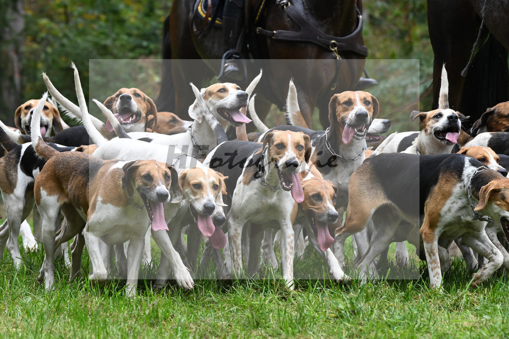 5622553 | hf-fotografie - Realisiert mit Pictrs.com