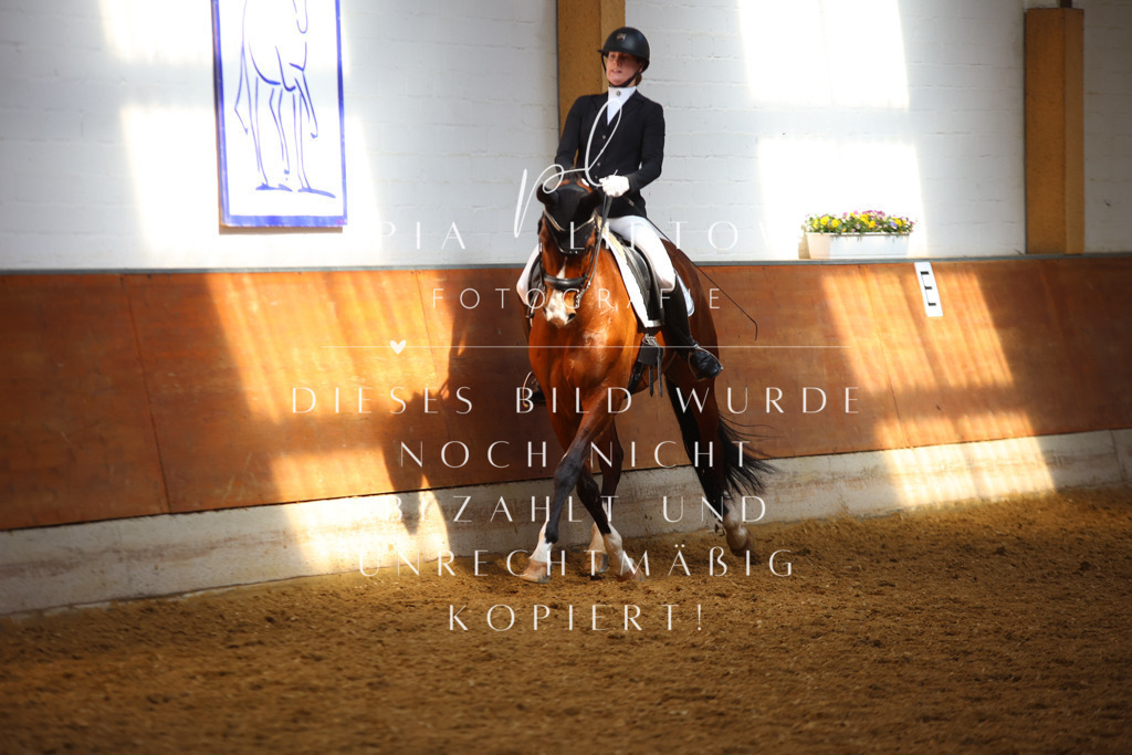 IMGT8550 | pl-fotografie