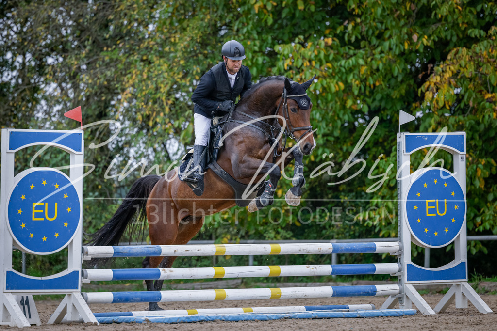 20251012-_3LI3717 | Tierfotografie Pferde, Hunde, Katzen, Haustiere.
Turnierfotografie Reitturniere, Reiten, Springreiten, Dressur in Hanau, dem Main-Kinzig-Kreis und dem Rhein-Main- Gebiet um Frankfurt