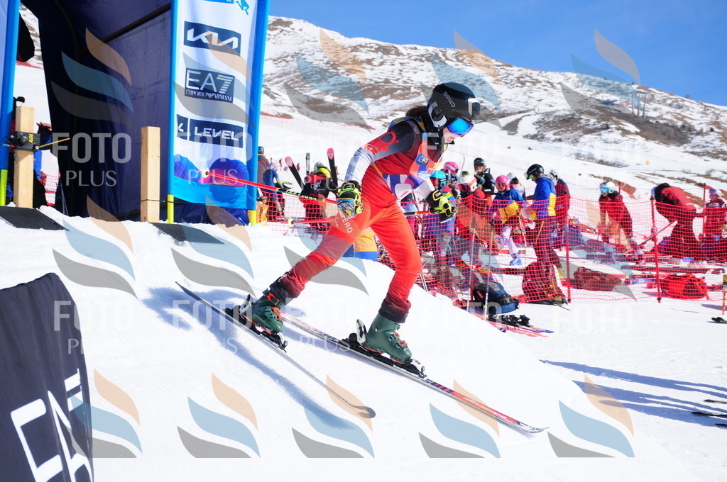 DSC_3711 | holidayphoto