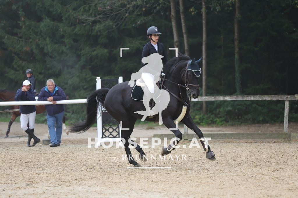 0P6A0859 | Willkommen bei Brunnmayr - Design & Fotografie – Ihrem Spezialisten für Reitturniere und Pferdeveranstaltungen in Oberösterreich, Salzburg und Bayern! Seit über 17 Jahren sind wir leidenschaftlich dabei.