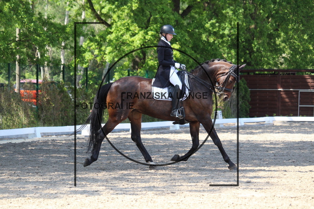 IMG_4924 | franziskalange - Realisiert mit Pictrs.com