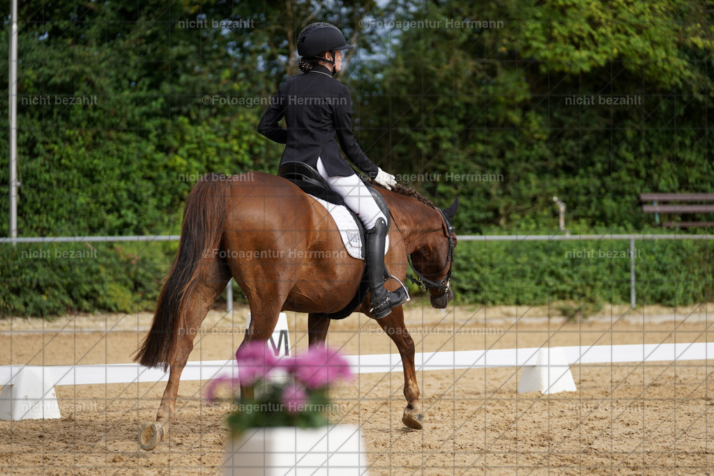 20240825-FAH00317 | Turnierbilder, Reitsportfotos, LAPO, Landesponyturnier, Turnierfotografen Bayern