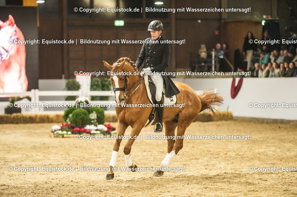 20240302_Hengstvorstellung_Marbach_TOMsPiC_0902 | equistock