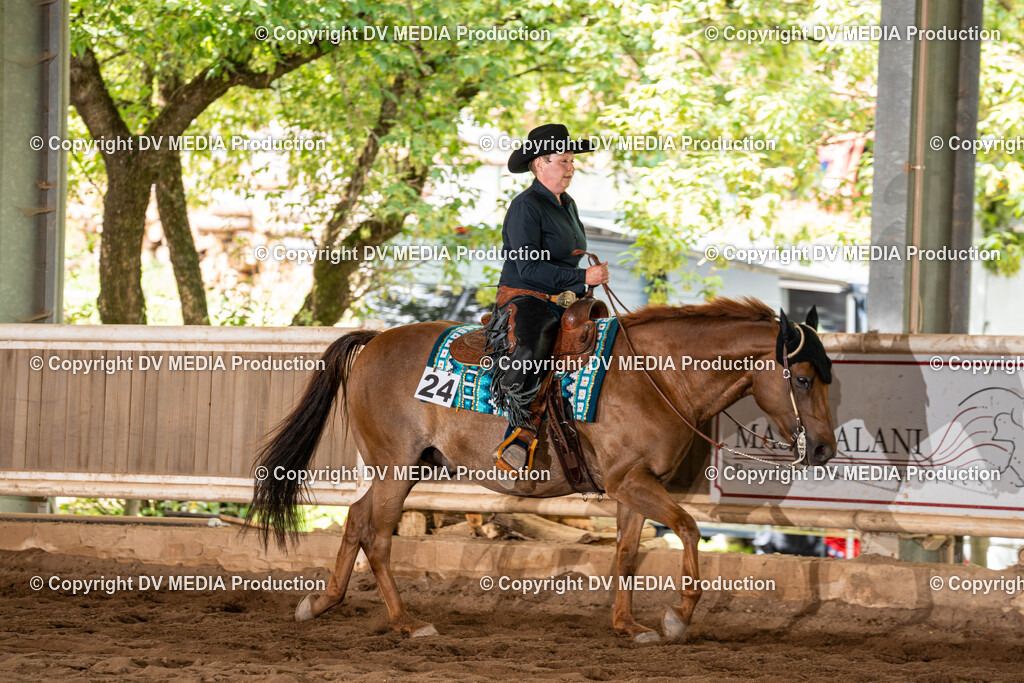 Erbach Tag 1-709 | dv-media-shop - Realisiert mit Pictrs.com