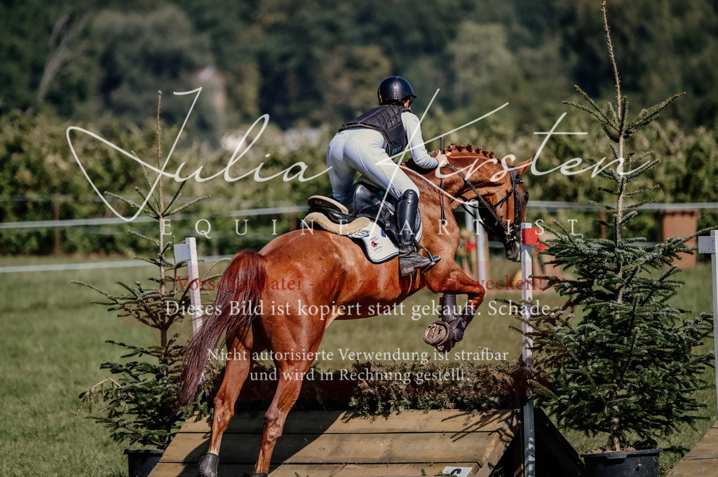 DSC_2670 | Pferde- und Turnierfotografie in Westsachsen. Pferdeportraits, Auftragszeichnungen und intuitive Kunst.
