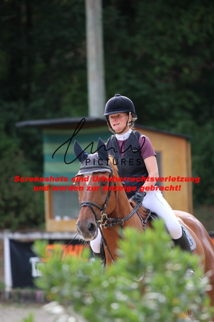 IMG_0919 | lmwpictures - Realisiert mit Pictrs.com