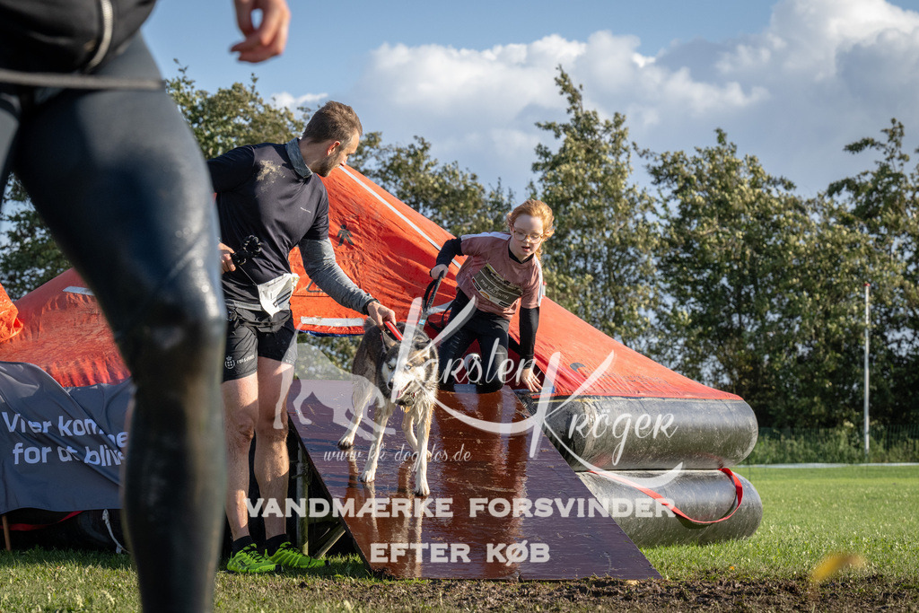 1455-90333 | kk-dogfotos