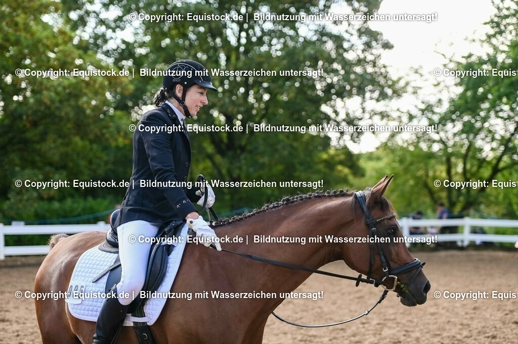 20230716_04_Dressurreiterprüfung Kl.A_0196 | equistock