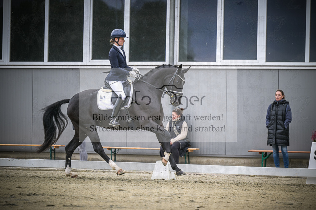 DOS_0420 | Entdecke hochwertige Reitturnierfotos von Foto Oger. Professionell, emotional und authentisch – jetzt Lieblingsmomente im Shop bestellen.Deutschlandweite Turnierfotografie. - Realisiert mit Pictrs.com