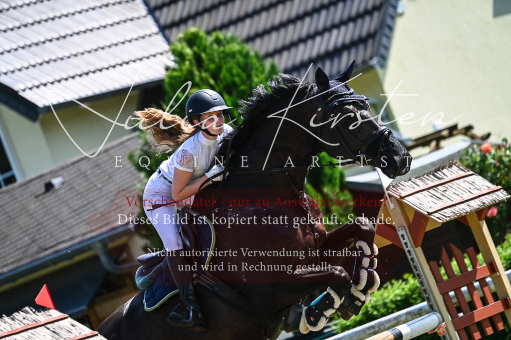 DSC_0972 | Pferde- und Turnierfotografie in Westsachsen. Pferdeportraits, Auftragszeichnungen und intuitive Kunst.