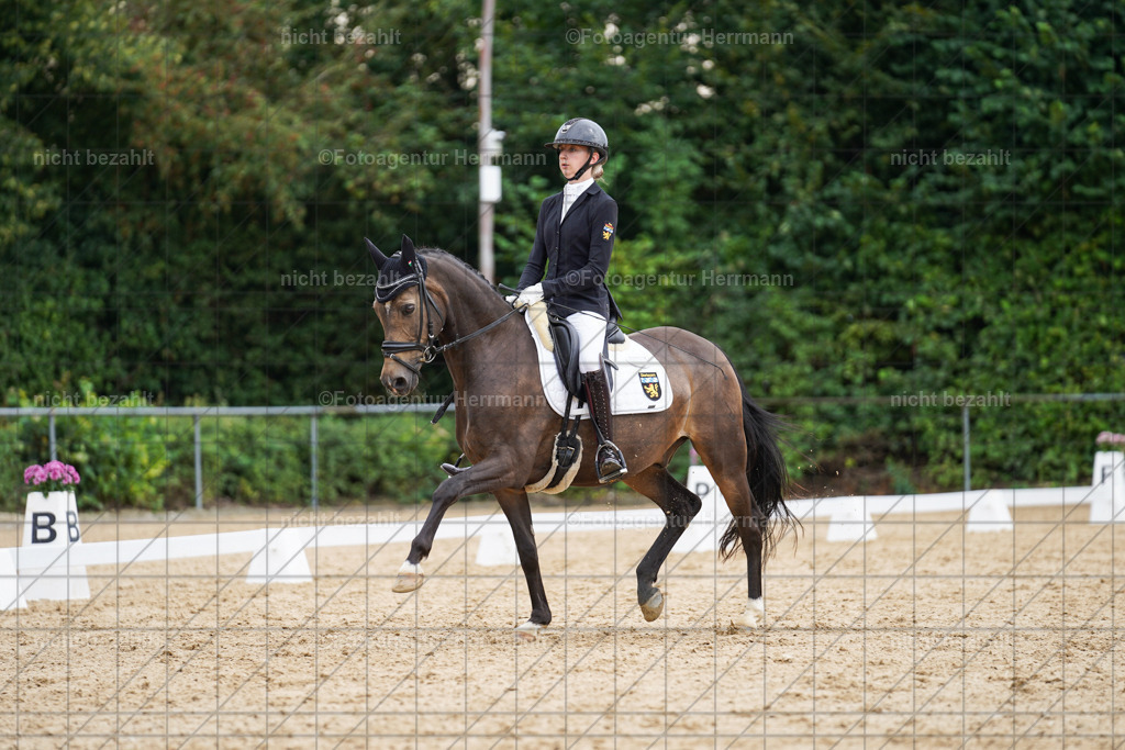 20240825-FAH09993 | Turnierbilder, Reitsportfotos, LAPO, Landesponyturnier, Turnierfotografen Bayern