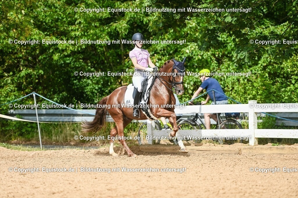 20230716_01_Dressurprüfung Kl.M_0394 | equistock